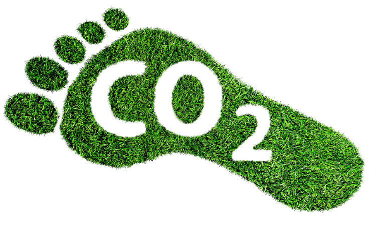 Fußabdruck mit Grasstruktur und Aufschrift CO2